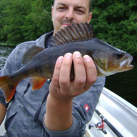 Wismens Natur & Fiske Krogsered Extérieur photo
