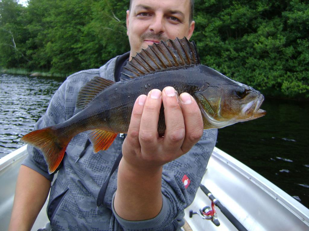 Wismens Natur & Fiske Krogsered Extérieur photo
