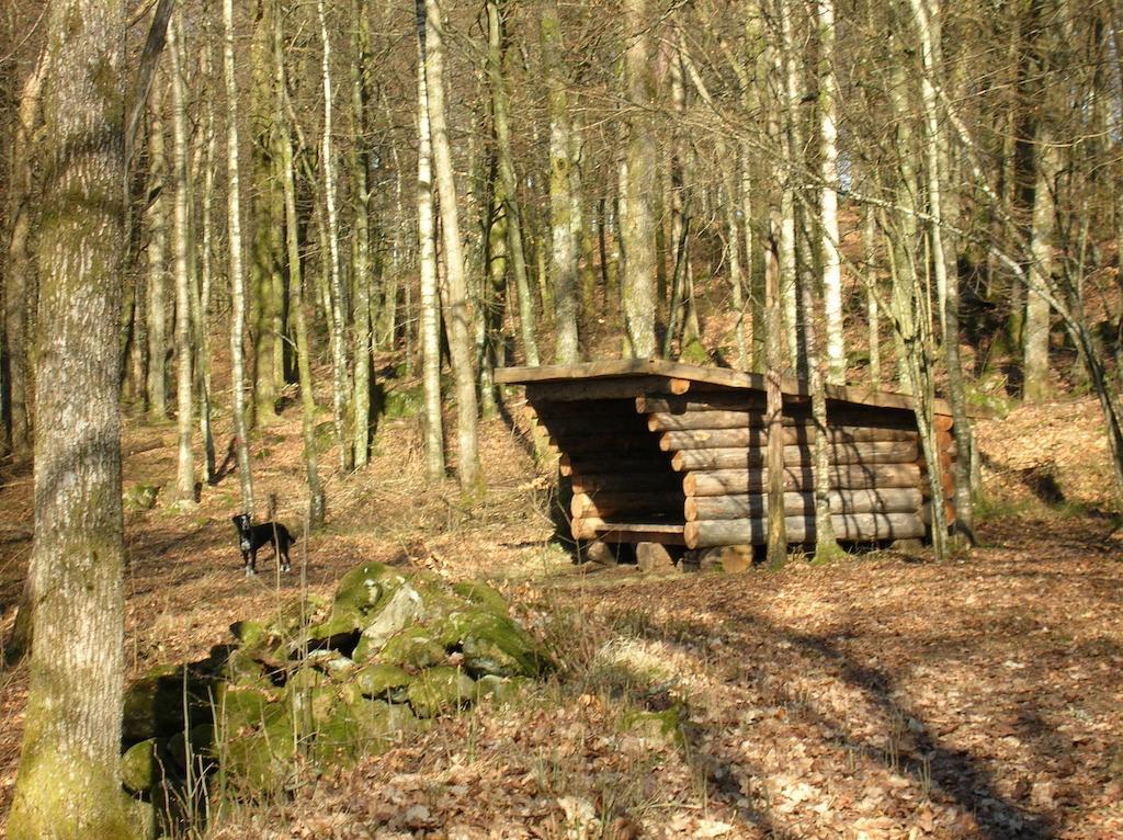 Wismens Natur & Fiske Krogsered Extérieur photo