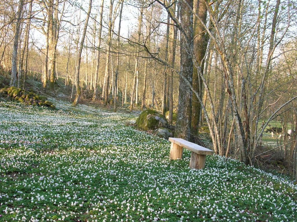 Wismens Natur & Fiske Krogsered Extérieur photo