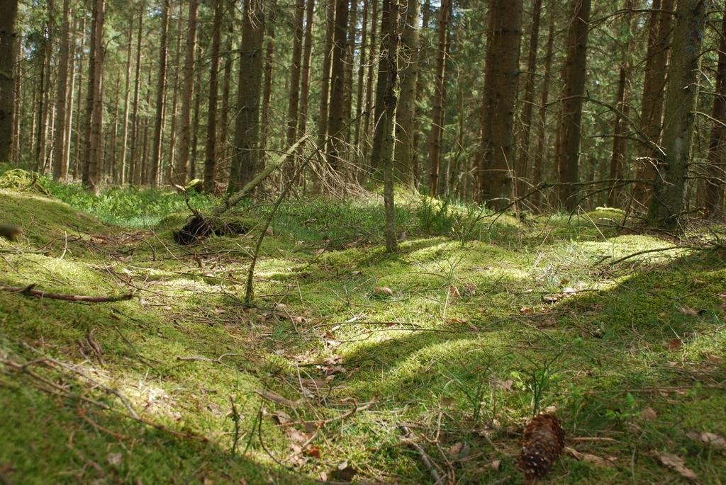 Wismens Natur & Fiske Krogsered Extérieur photo